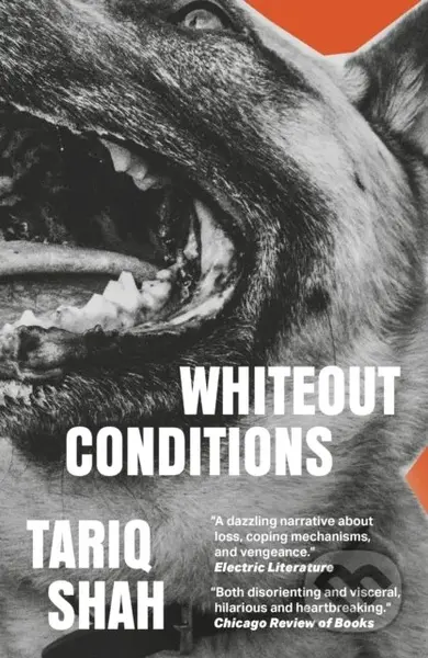 Whiteout Conditions - Tariq Shah - kniha z kategorie Společenská beletrie