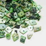 Dyed Natural Freshwater Shell Chips Beads