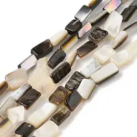 Natural Black Lip Shell Beads Strands