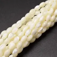 Natural Trochid Shell/Trochus Shell Beads Strands
