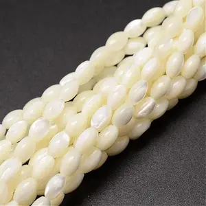 Natural Trochid Shell/Trochus Shell Beads Strands