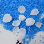 Natural White Shell Beads