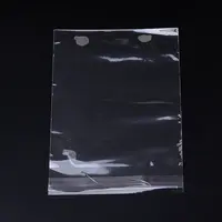 Cellophane Bags