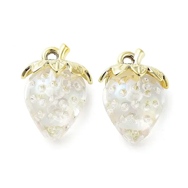 Transparent Acrylic Pendant