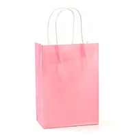 Pure Color Kraft Paper Bags