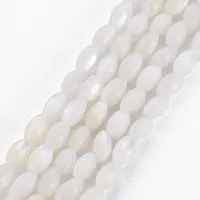 Natural Freshwater Shell Beads Strands