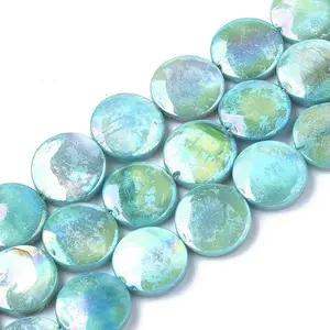 Natural Freshwater Shell Beads Strands
