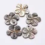 Black Lip Shell Links connectors