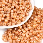 Baking Paint Pearlized Glass Seed Beads