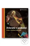 Kniha s kúzelnou baterkou: Zvieratá v podzemí - kniha z kategorie Naučné knihy