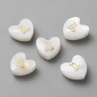 5Pcs Natural White Shell Beads