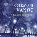 Očekávání Vánoc