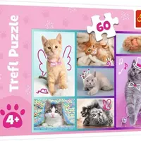 Puzzle Roztomilá koťátka