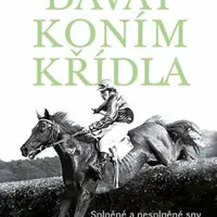 Dávat koním křídla (Defekt) - Petr Feldstein