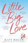 Little Big Love - Katy Regan - kniha z kategorie Společenská beletrie