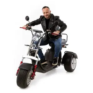 Elektrický Chopper UNIZDRAV EasyRide