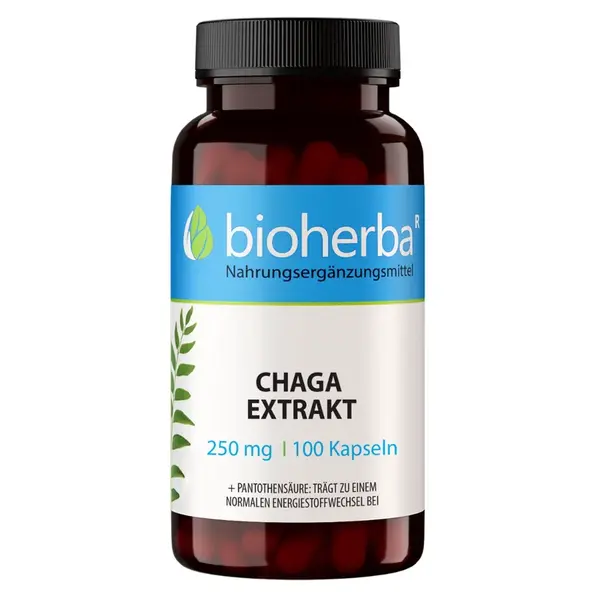 Čaga extrakt 250 mg – 100 kapsúl – Bioherba