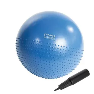 HMS YB03 gymnastický míč 55 cm modrý