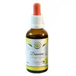 SALVIA PARADISE Damiána Turnera diffusa tinktura 50 ml