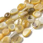 Natural Yellow Shell Beads Strands