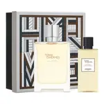 Hermes Terre d`Hermès Eau Givrée - EDP 100 ml + sprchový gel 80 ml
