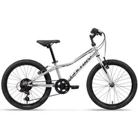 Dětské kolo Galaxy Neptun 20" 10.0 10" (113-135 cm) stříbrná