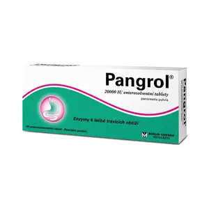 Pangrol 20000 50 tablet