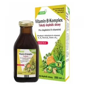 SALUS Vitamín B-komplex 250 ml