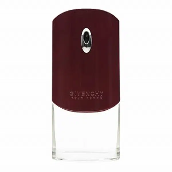 Givenchy Pour Homme toaletná voda pre mužov 100 ml