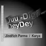 Jindřich Parma, Karya – Duu - Digi - DeyDey