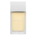 Pascal Morabito Pure Essence toaletní voda pro muže 100 ml