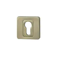 Rozeta R62 VL antická mosadz