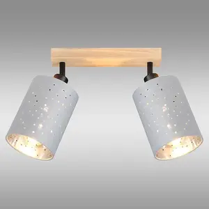 Stropné svietidlo  DAFNE AS-DAE142BR LS2