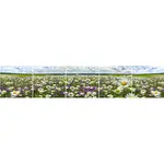 Sklenený panel 60/300 Flowers-3 5-Elem