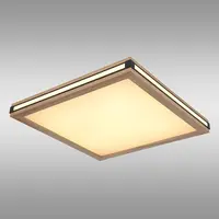 Stropné svietidlo prisadené 41589D2 LED  PL1