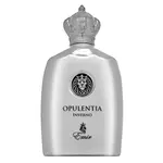 Emir Opulentia Inverno parfémovaná voda pro muže 100 ml