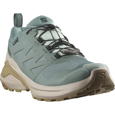 Salomon X-ADVENTURE GTX EU 42, North Atlantic/Feather Gray/Antique Bro Dámské boty