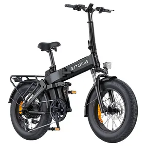 ENGWE Pro 3.0 Boost Electric Bike 250W 48V 15Ah Black