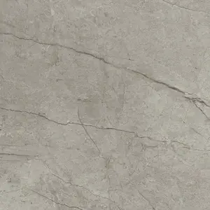 Dlažba Del Conca Boutique silver 60x60 cm mat G9BO15R