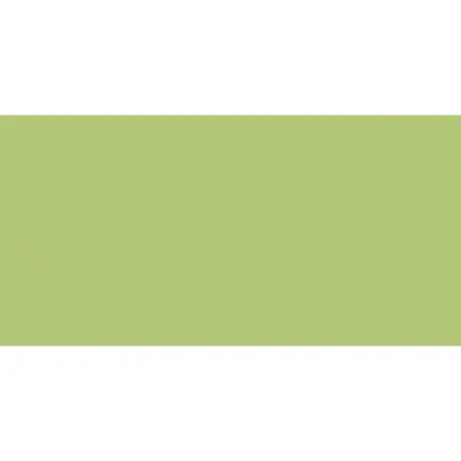 Obklad Fineza Happy zelená 20x40 cm lesk HAPPY40GE