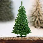 Stromek borovice extra 220 cm.