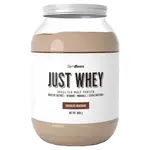 GymBeam PROTEÍN JUST WHEY 1000 G ČOKOLÁDOVÝ MILKSHAKE Proteín, , veľkosť