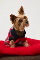 Svetr pro mazlíčka Medicine