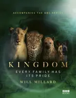 Kingdom - Will Millard
