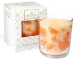 Santini Luxusní svíčka - Spiced Orange Apple