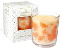 Santini Luxusní svíčka - Spiced Orange Apple