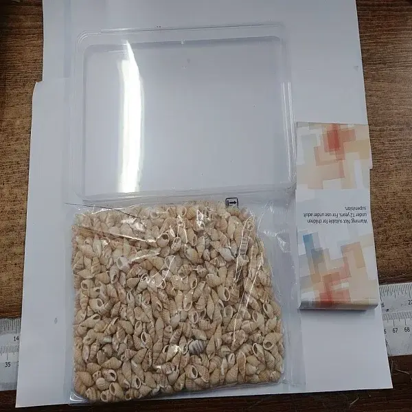 Natural Spiral Shell Beads