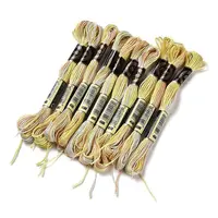 10 Skeins 6-Ply Polyester Embroidery Floss