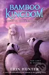 Journey to the Dragon Mountain - Erin Hunter