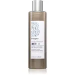Briogeo Scalp Revival šampón proti lupinám 248 ml